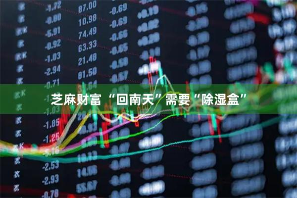 芝麻财富 “回南天”需要“除湿盒”