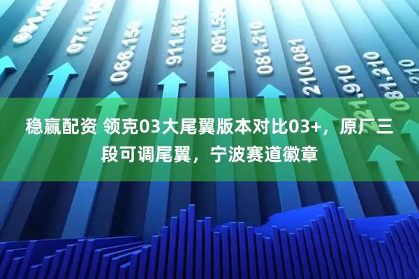 稳赢配资 领克03大尾翼版本对比03+，原厂三段可调尾翼，宁波赛道徽章