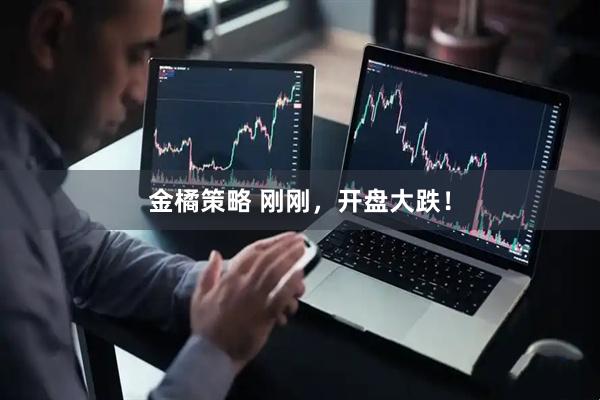 金橘策略 刚刚，开盘大跌！