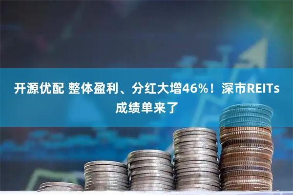 开源优配 整体盈利、分红大增46%！深市REITs成绩单来了