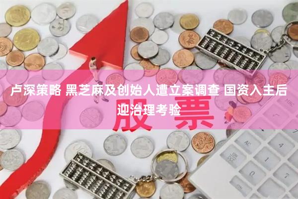 卢深策略 黑芝麻及创始人遭立案调查 国资入主后迎治理考验