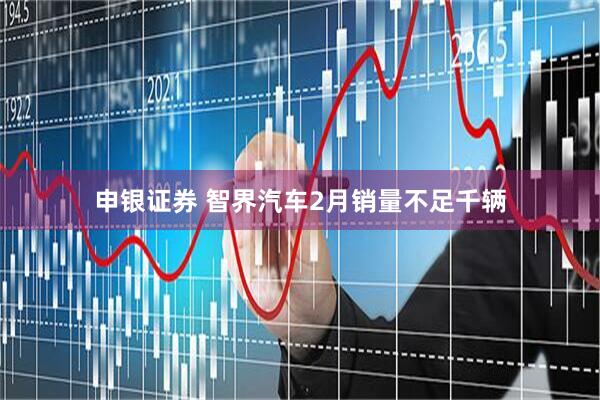 申银证券 智界汽车2月销量不足千辆
